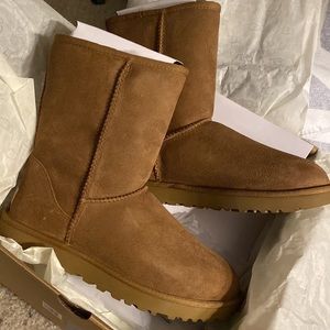 BRAND NEW IN BOX Classic tan Ugg Short II